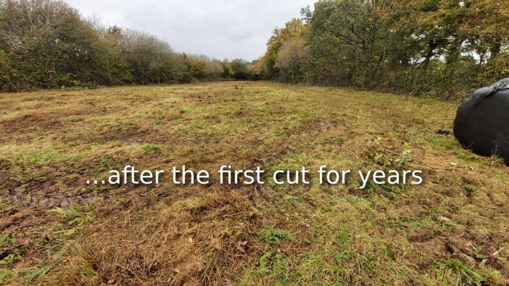 JRM Countryside Services - first cut for years